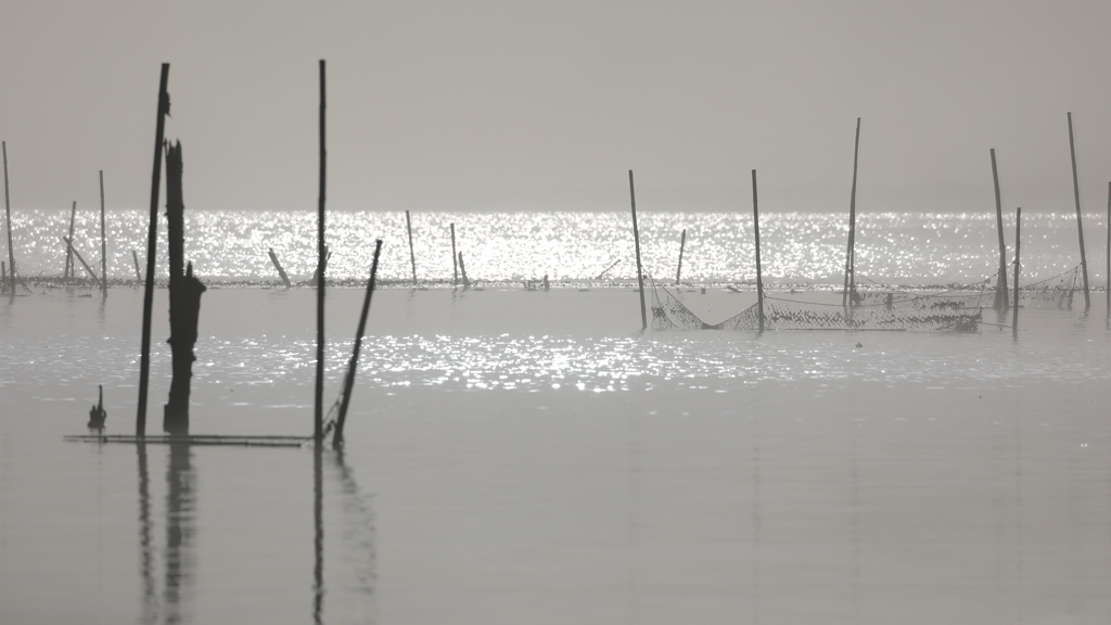 印旛沼・朝景　- 煌めく海のイメージで -