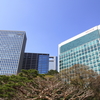街の情景　- 冬枯れの百日紅 -