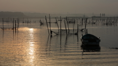 印旛沼・朝景　- 魚師の乗る小舟 -