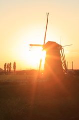 印旛沼・風車　- 西陽の輝き -