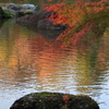 花便り　- 秋色の庭園 -