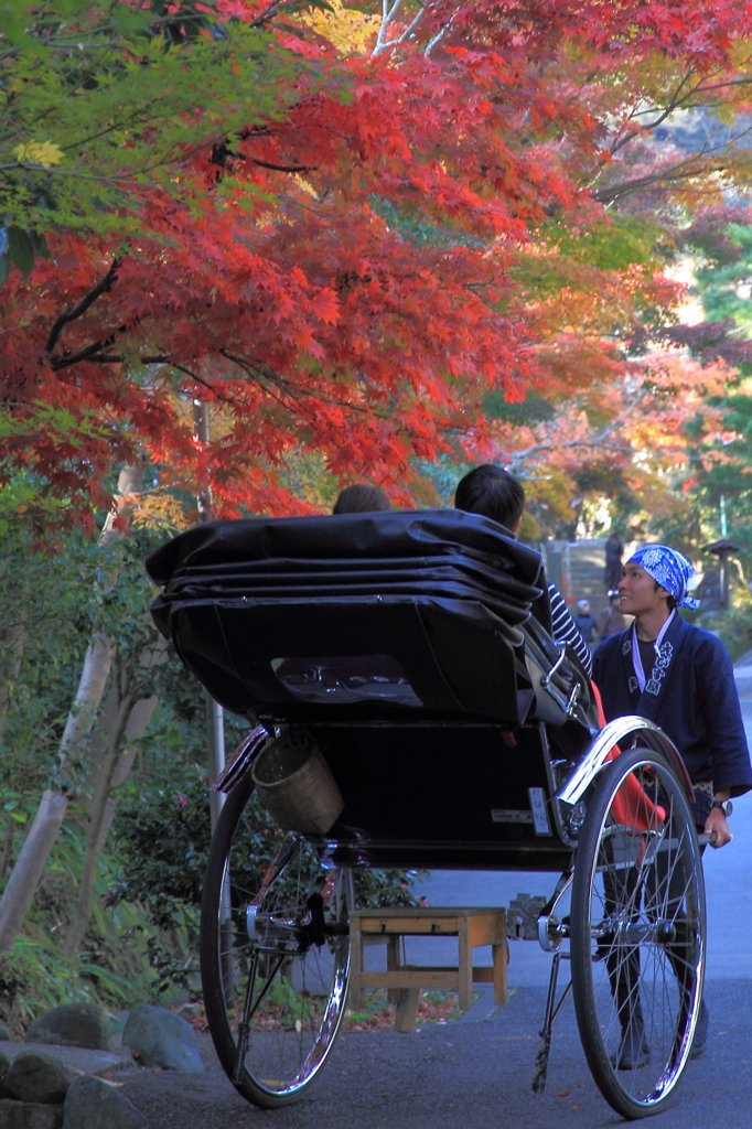 街の情景　- 力俥からの秋景色 -