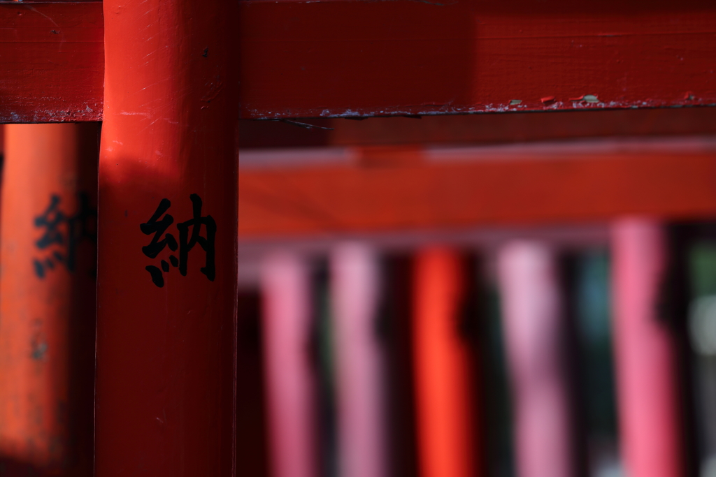 街の情景　- 根津神社・納 -