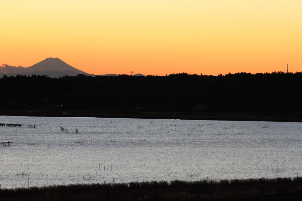 印旛沼・夕景　- 富士山とスカイツリー -