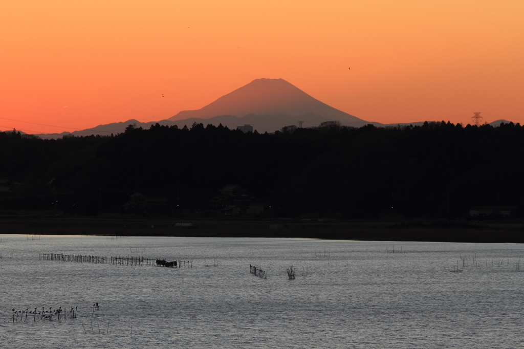 印旛沼・夕景　- 赤い夕富士 -