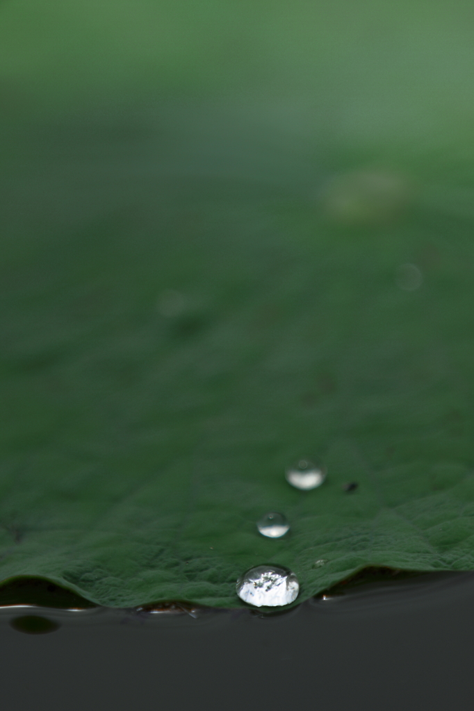 三つの水玉