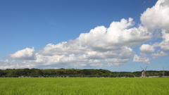 印旛沼・風車　- 夏雲の風車 -