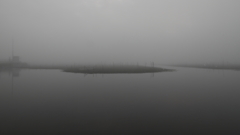 印旛沼・朝景　- 白霧の朝 -