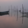 印旛沼・朝景　- 暁霧の水面 -