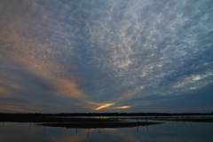 印旛沼・朝景　- 多彩な雲 -