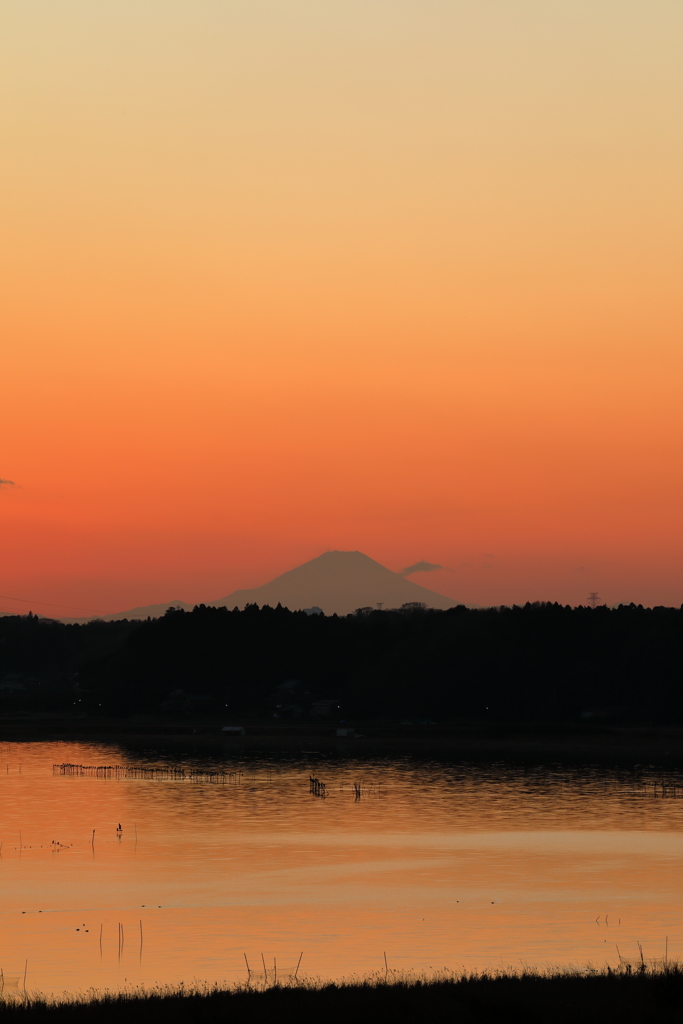 印旛沼・夕景　- 茜色に聳える -