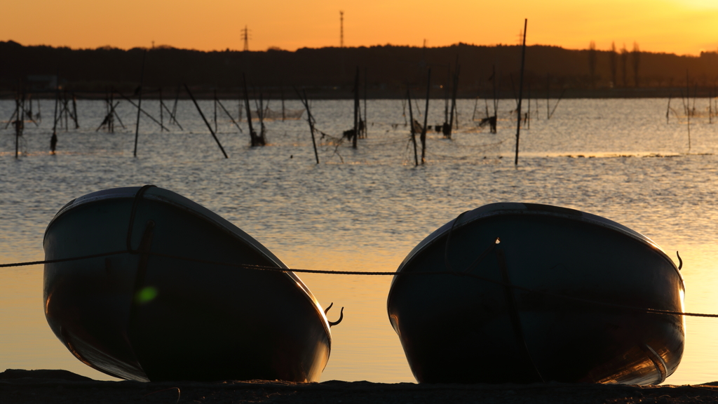 印旛沼・朝景　- 冬の朝陽を浴びて -