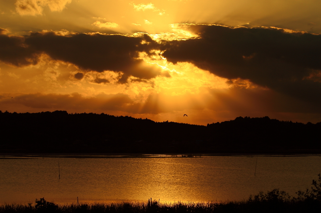 印旛沼・夕景　- 夕陽の光芒 -