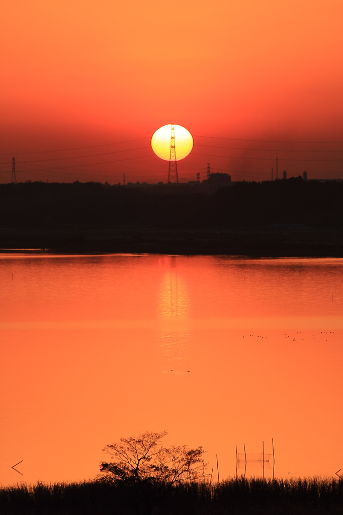 印旛沼・夕景　- 夕陽と鉄塔 -