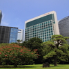 街の情景　- 百日紅と黒松のある庭園 -