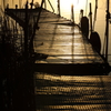 印旛沼・朝景　- 影のある桟橋 -