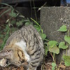 困ったな