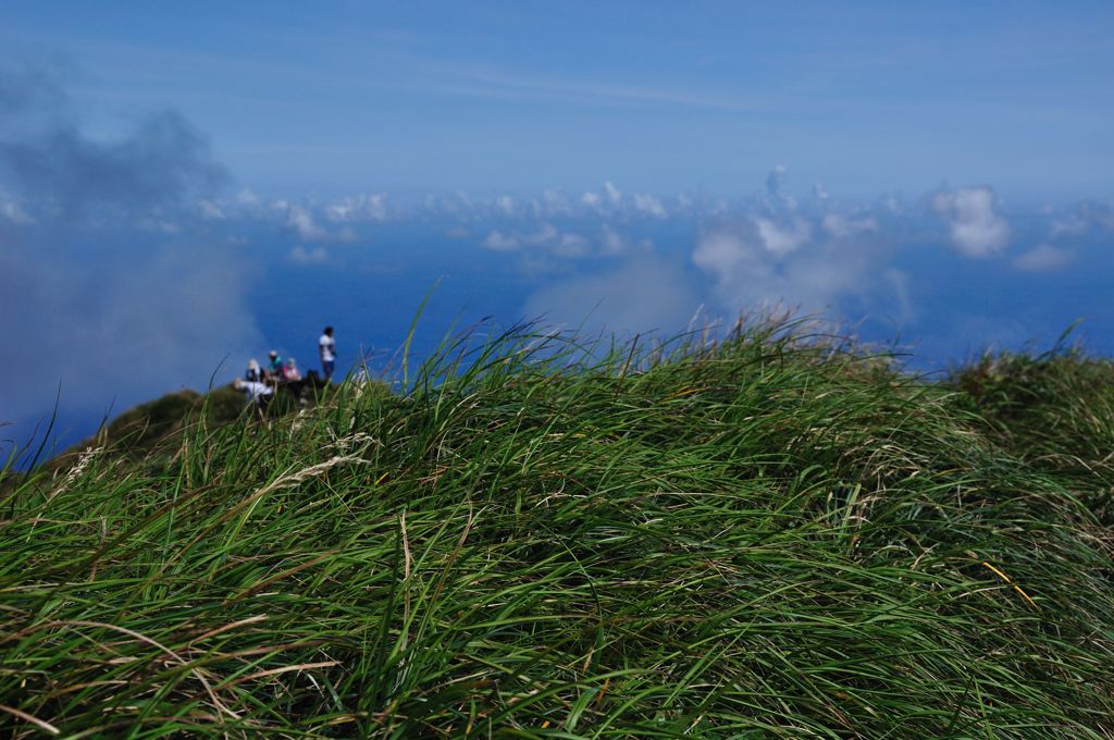 空に草叢と青い海