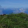 空に草叢と青い海