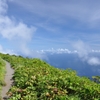 雲の上の散歩道