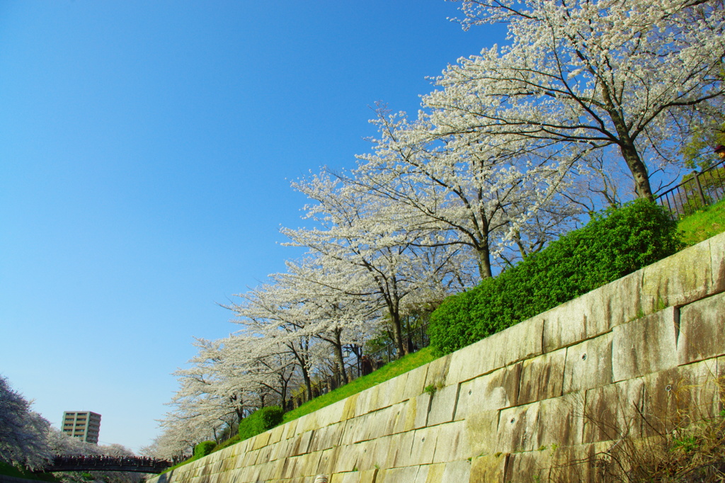 青空の下