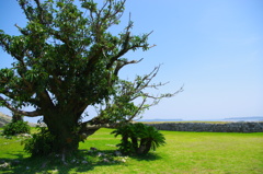 高台広場