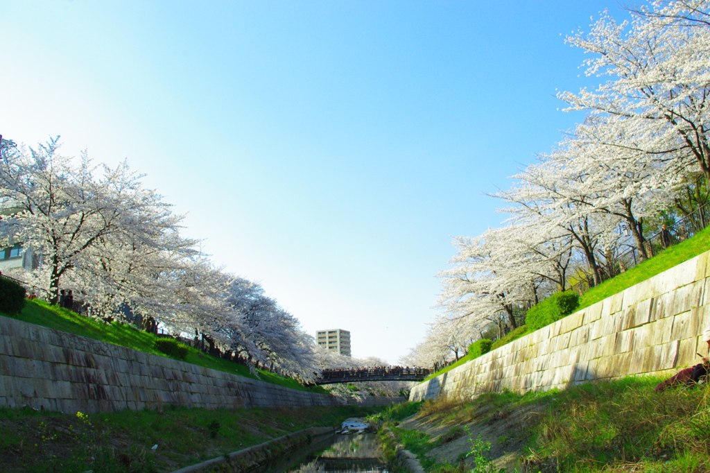 空に向かって