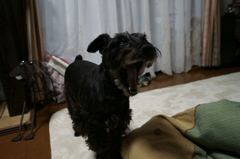 あーーーー！！