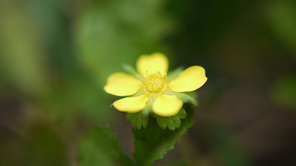 なんちゃってMacro2