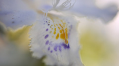 なんちゃってMacro1