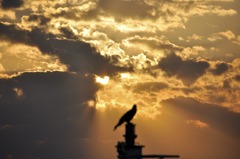 夕暮れに想う