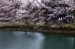風に吹かれて
