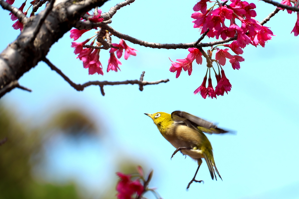 虚空でステップ