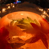 Flower in the ICE