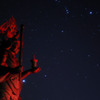 Stars