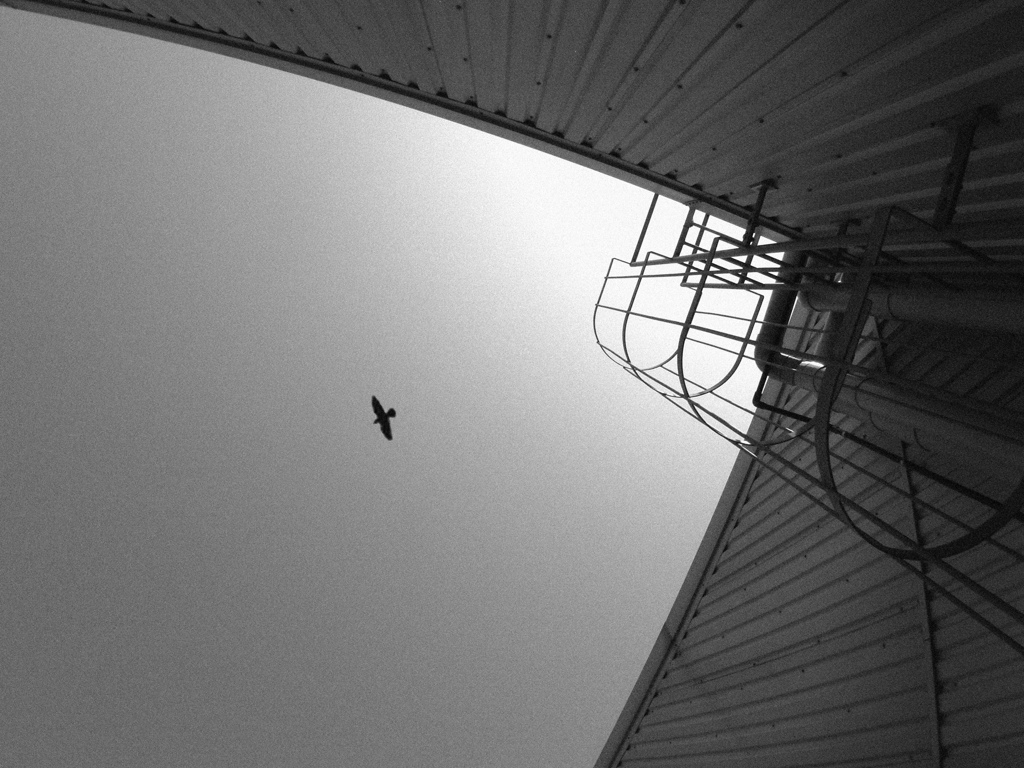 空へ