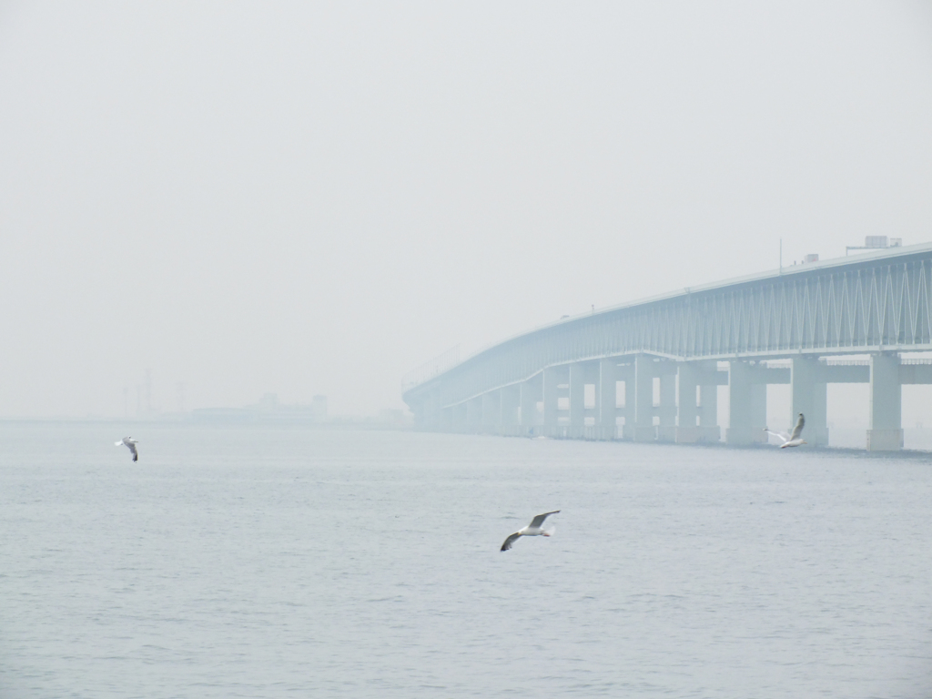 霧の連絡橋