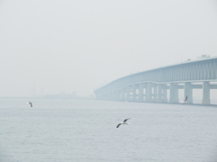 霧の連絡橋