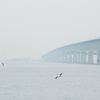 霧の連絡橋