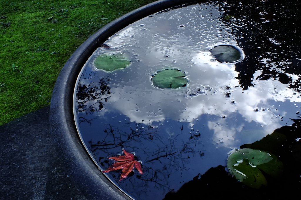 水鏡