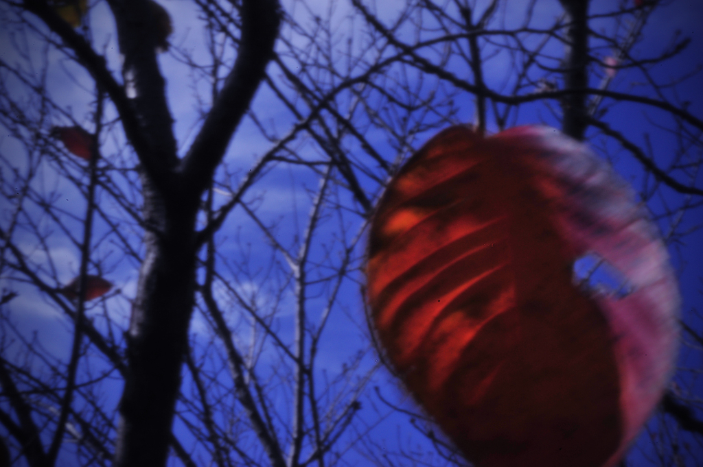 pinhole