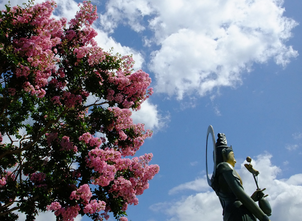 桜ではありません