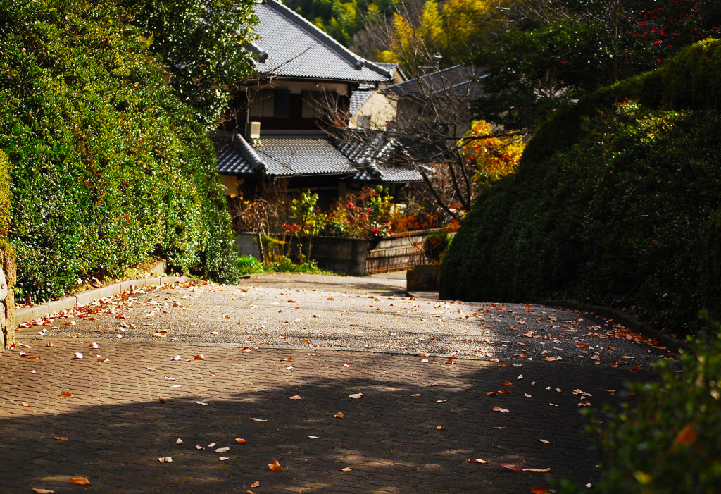 田舎道