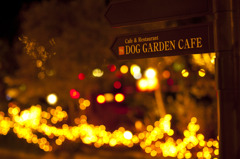 DOG GARDEN CAFE