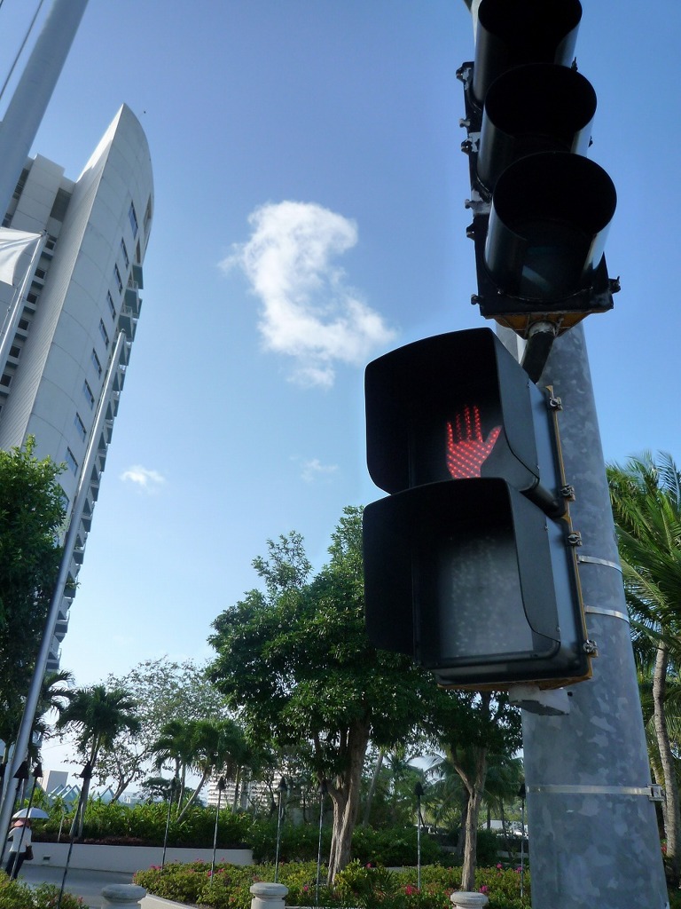 Trafic＊