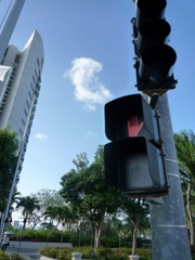 Trafic＊