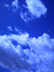 Sky＊