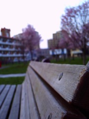 おもいでのベンチ＊