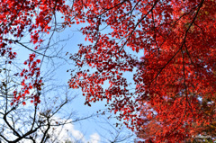 13-DSC_0915
