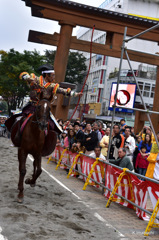 11-DSC_0101